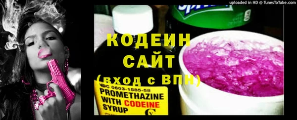 гашик Лиски