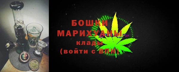 ГАЛЛЮЦИНОГЕННЫЕ ГРИБЫ Лихославль