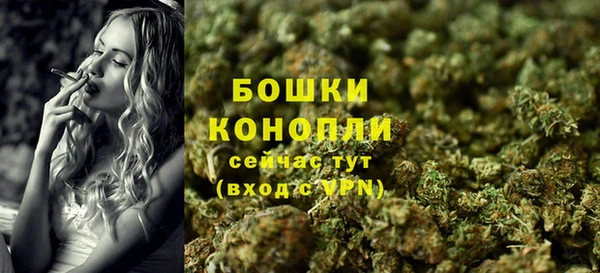 ГАЛЛЮЦИНОГЕННЫЕ ГРИБЫ Лихославль
