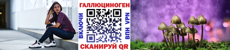 кракен зеркало  Урень  Галлюциногенные грибы Cubensis  магазин   
